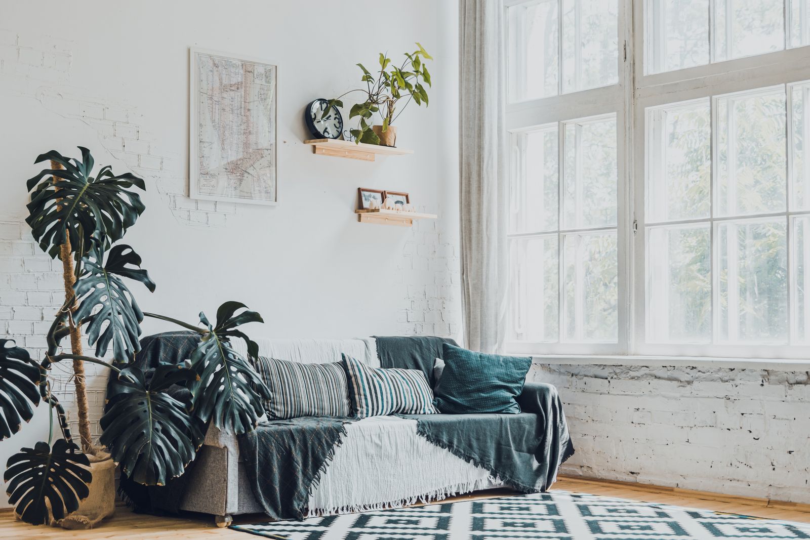 Helles Wohnzimmer mit großen Monstera-Pflanzen und Sofa