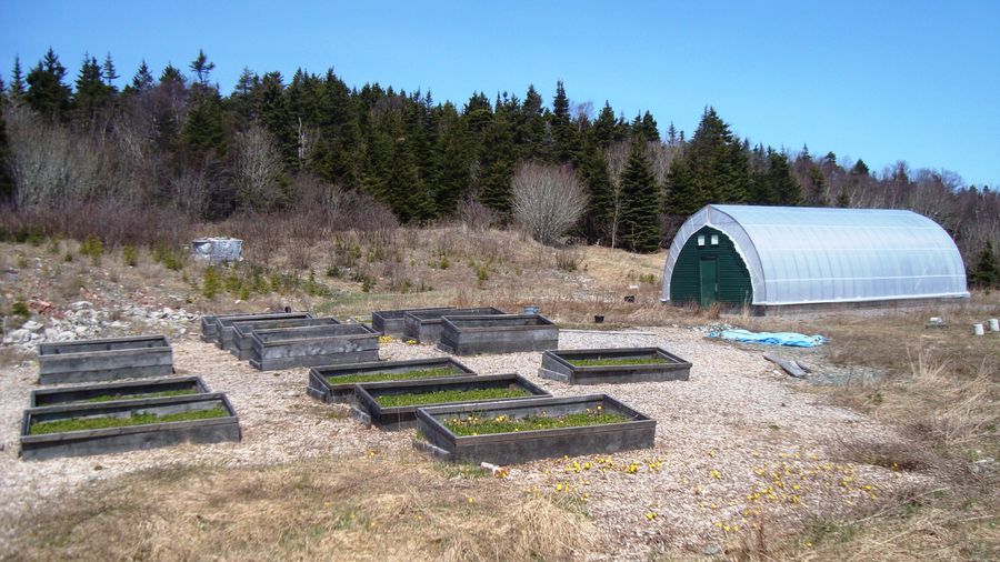 Mehrere Holzhochbeete und ein Folientunnel in einem ländlichen Garten