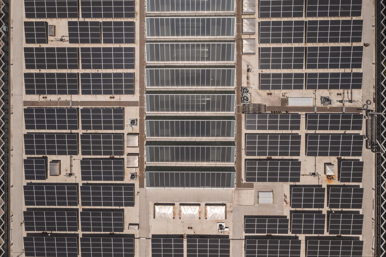 Luftaufnahme eines großen Industriedachs mit gleichmäßig ausgerichteten Solarmodulreihen